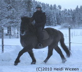 Heidi ja Esko loppiaisen pakkassss