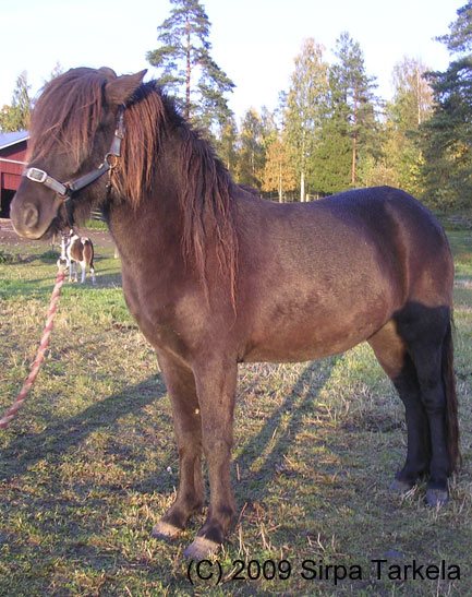 Hdd lokakuussa 2009
