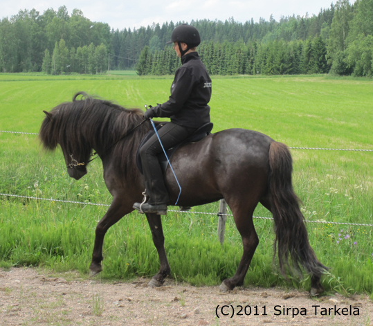 Sirpa ja Hdd